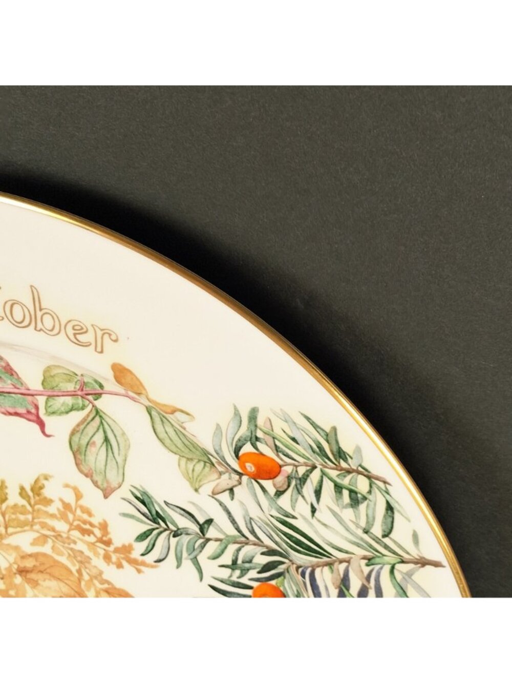 Caverswall Calendar Plates the Country Diary of An Edwardian Lady - Mushroom & - Picture 10 of 11